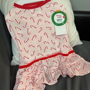 Dog Christmas Dress size medium NEW